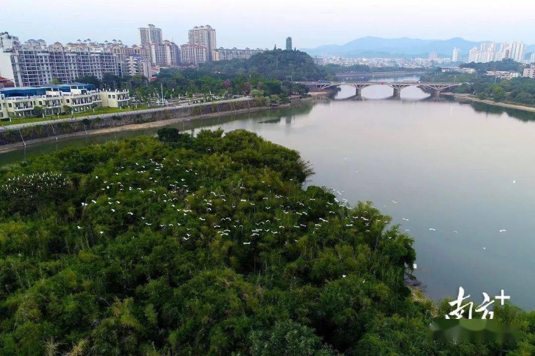 增城人均_增城地图