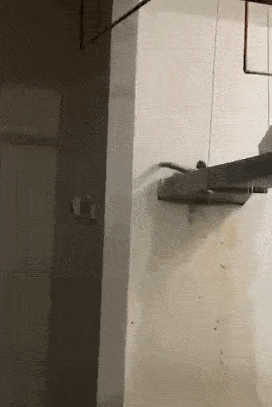 业主泪奔 在淮安购买水渡口某小区的洋房后竟 地下室