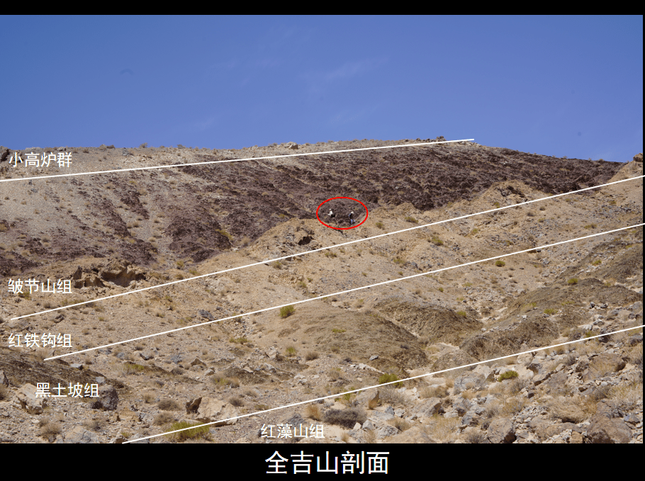 板块|青藏科考发现埃迪卡拉生物群化石，系目前青藏高原最古老化石群
