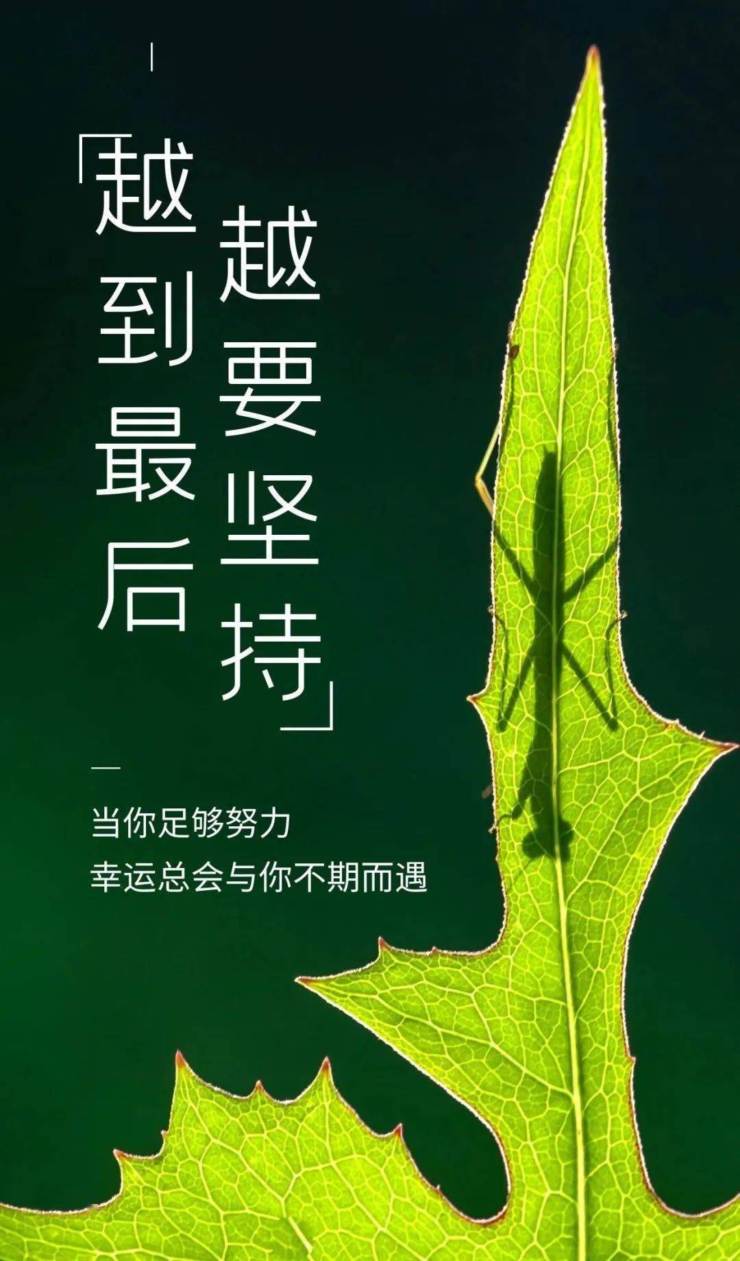 c9254a76fa0a4a14b09f9f60d1e33a5e.jpeg