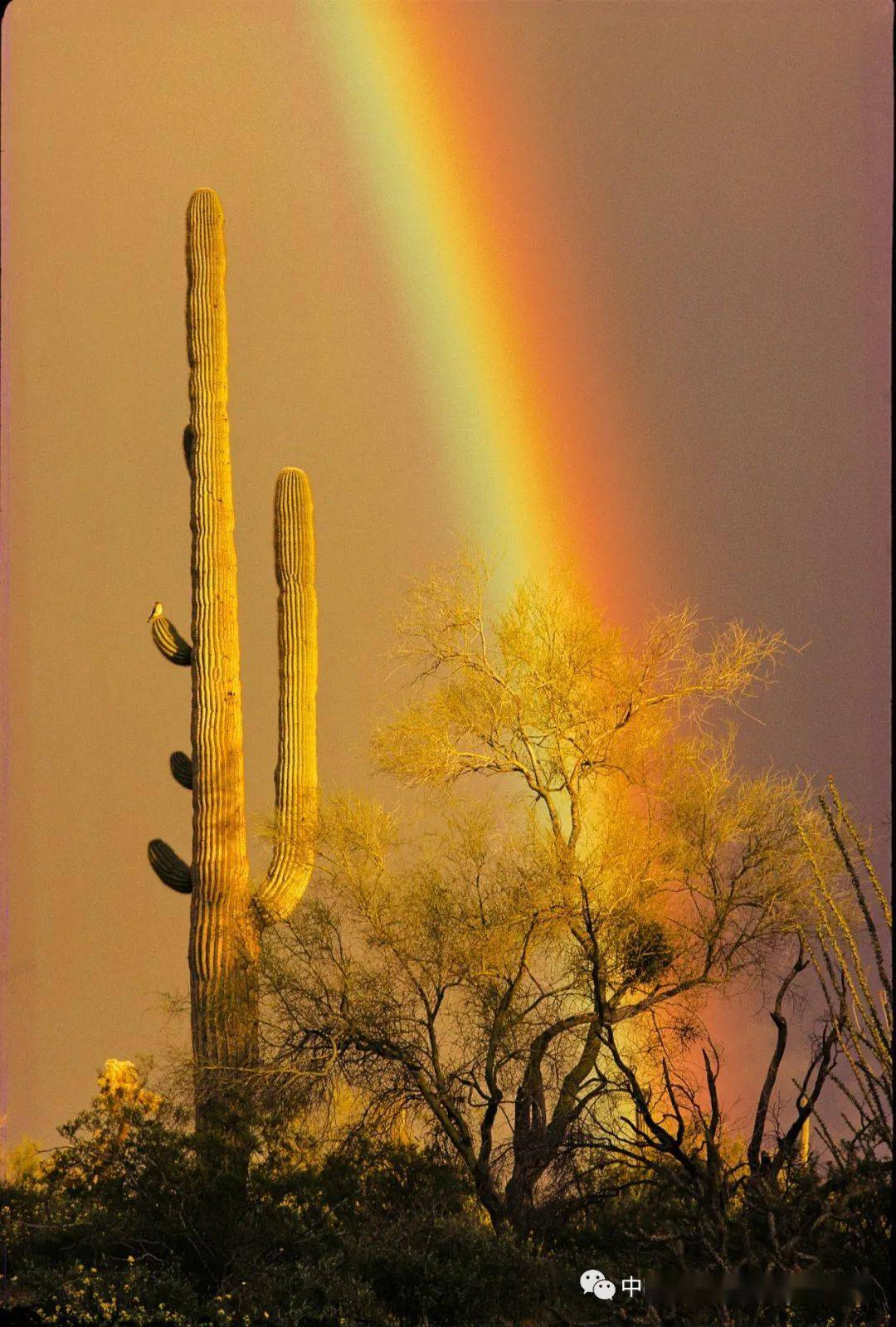 视觉的散文李元风光摄影作品赏析