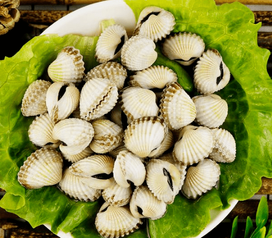 蚶子的蚶怎么读