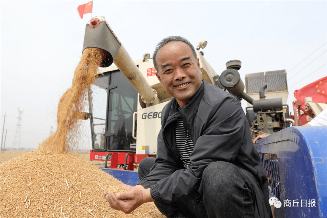 国家粮食安全的商丘贡献:"十八连丰"