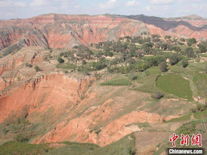 化石|科学家发现地球史上最大陆地哺乳动物新属种：2650万年前“临夏巨犀”