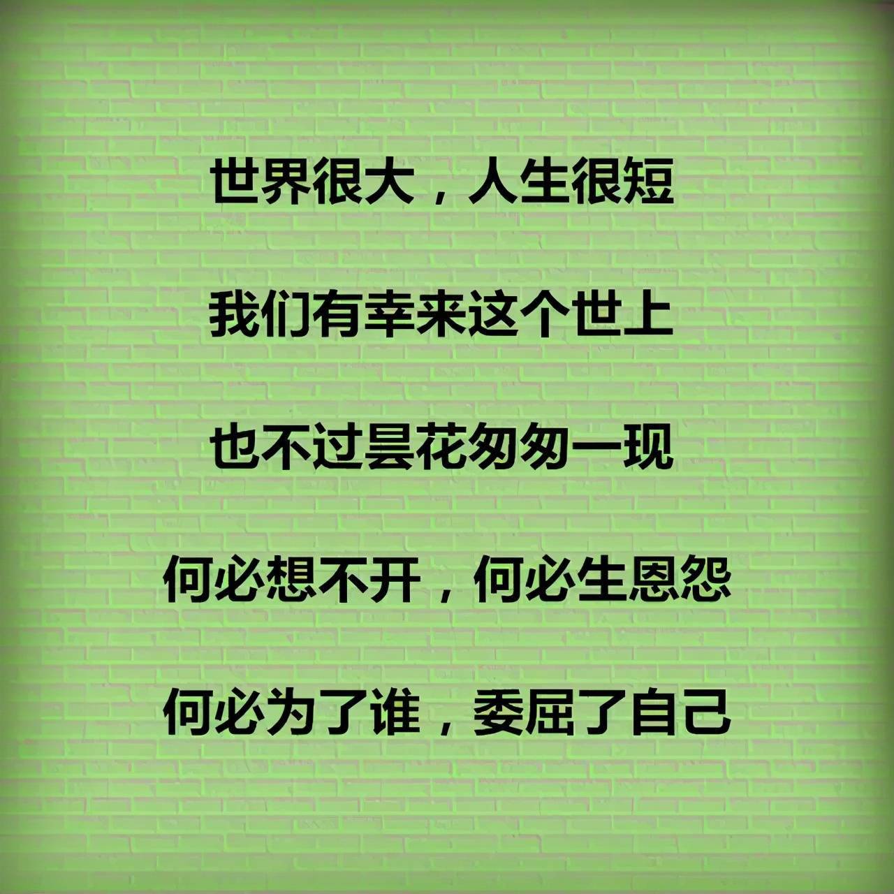 存什么不什么语成语_不舍得字有什么成语(3)