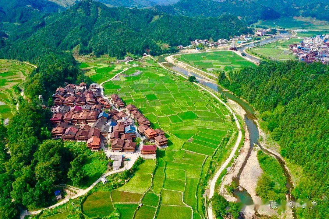 精彩直播预告千人侗族大歌苗族芦笙打同年洞头镇第四届石头鱼旅游节将