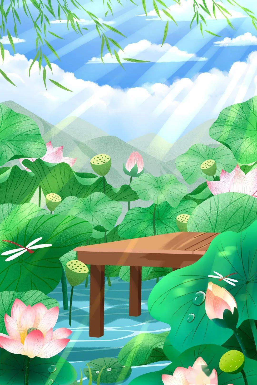 大善小坞的荷花开了即将惊艳这个夏天