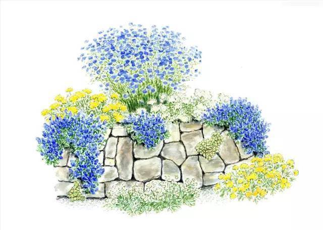 101张超高清精品手绘花境惊艳你的视觉