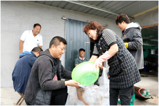 葡萄岛助力秦皇岛海域生态修复,200万只蟹苗投向渤海!