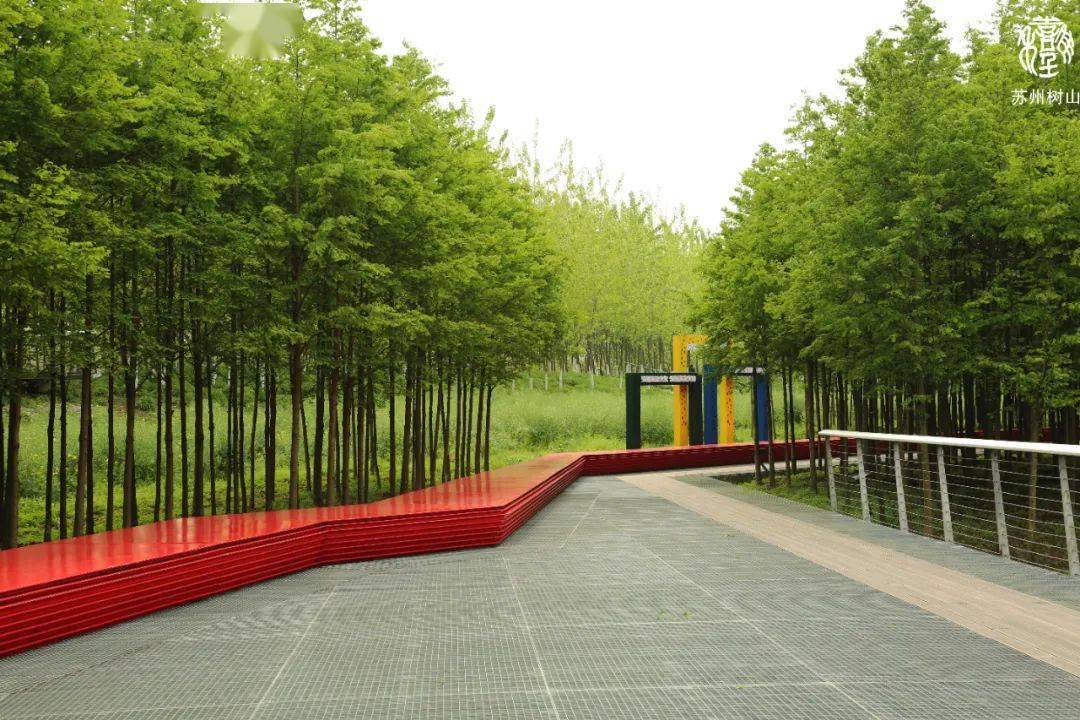 游真山公园体验绿色生活