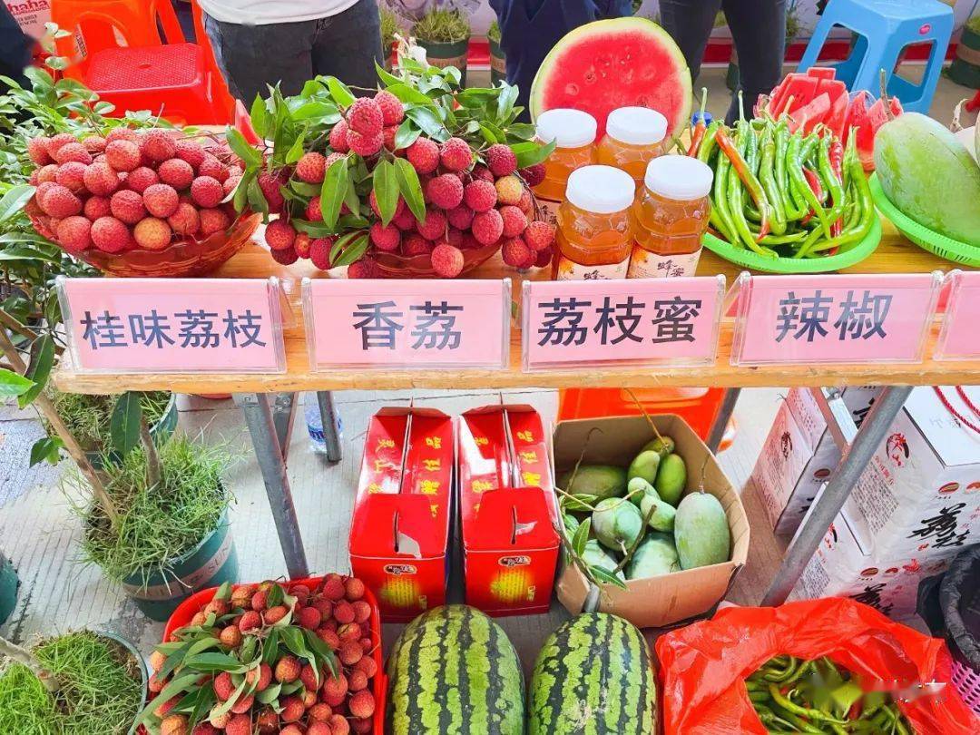 灵山荔枝节盛装启幕