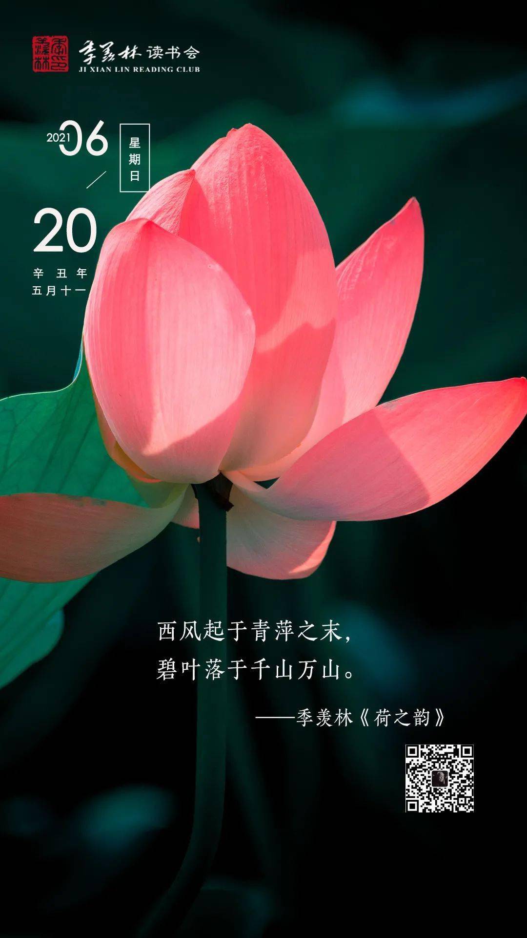 日签| 西风起于青萍之末,碧叶落于千山万山