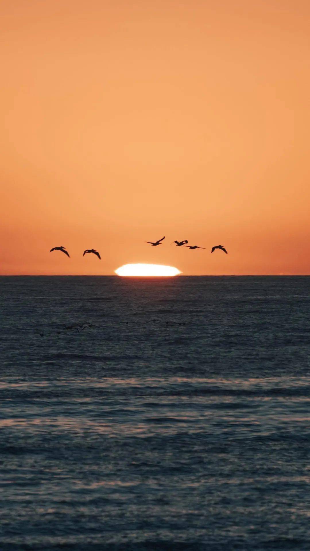 壁纸换一张放空自己的手机壁纸