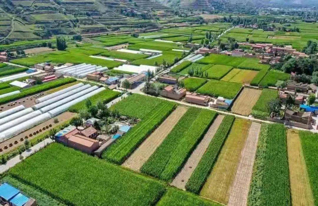 会宁蔬菜大棚种出乡村振兴富裕路