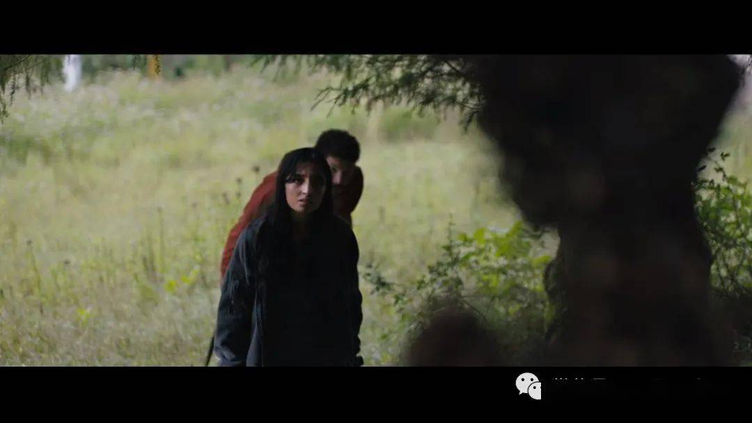 423美国地表惊旅当全世界都在寻找一种可以治愈灾难性病毒的方法