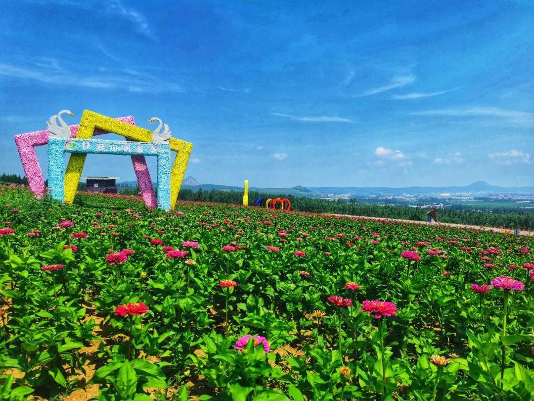 v游延边走进龙井做强旅游产业推动经济发展