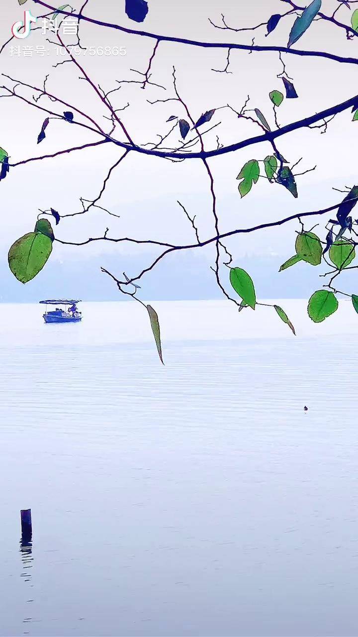 雾笼江平渺远舟悠悠虚影何人游几度空留青葱叶霜凌瘦枝蓄离愁