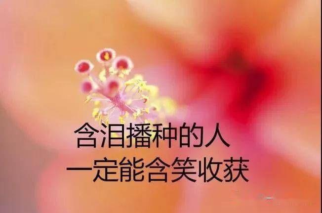 26bfdb041cf847d892ac249756d04d35.jpeg