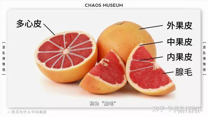 为什么西瓜中间是最甜的