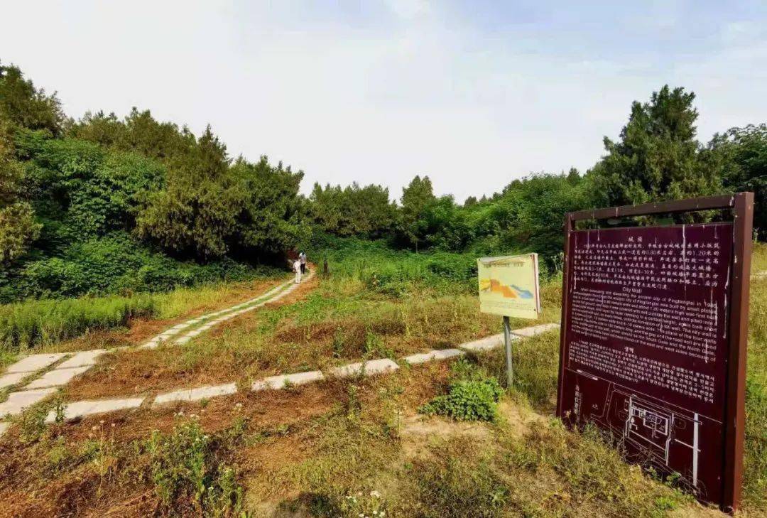 发现淮阳新十景网络系列展播之十一平粮新韵