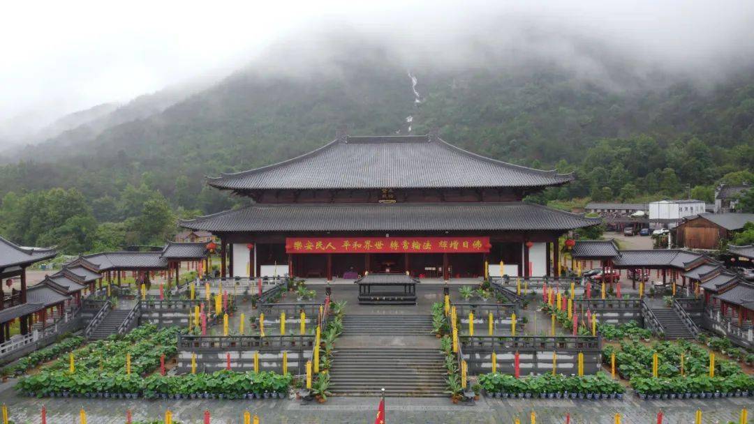 三頭並蒂蓮近日,天台山護國寺大雄寶殿前廣場已經相繼發現8株