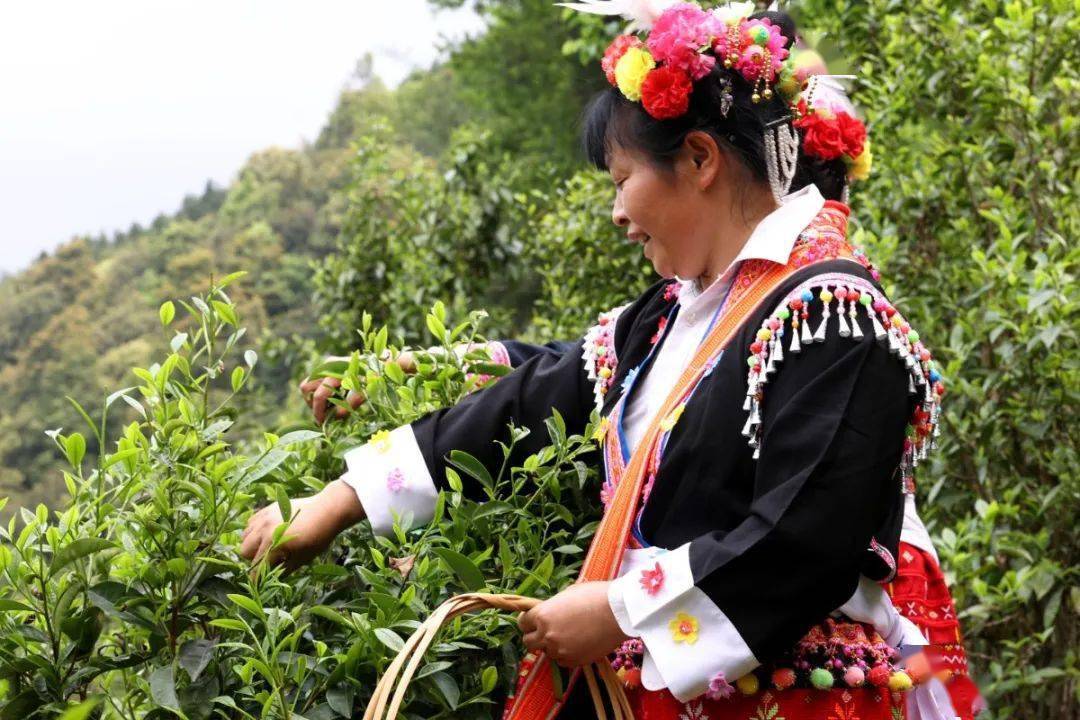 含锌量排行榜_国美十二月份销售排行榜