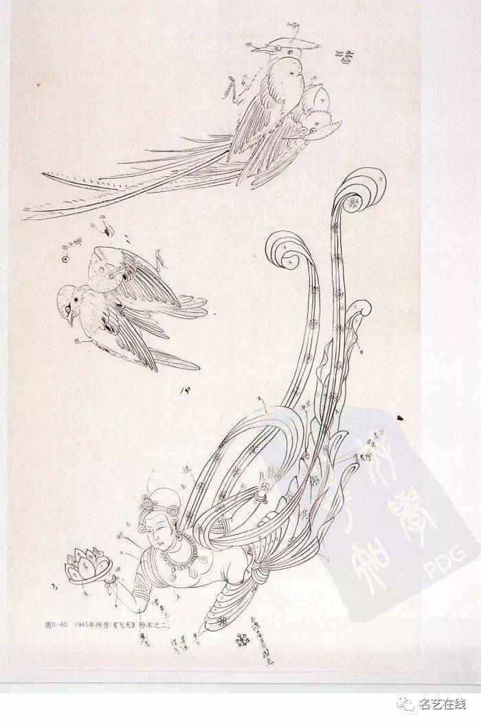 �Ŵ�ǧ����������Ů�۱����޽���������