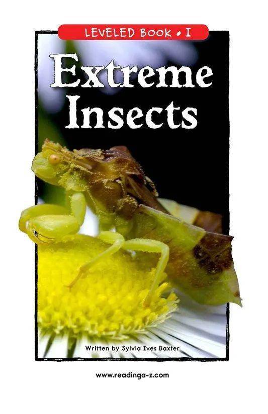 【raz-i-78】extreme insects_ways