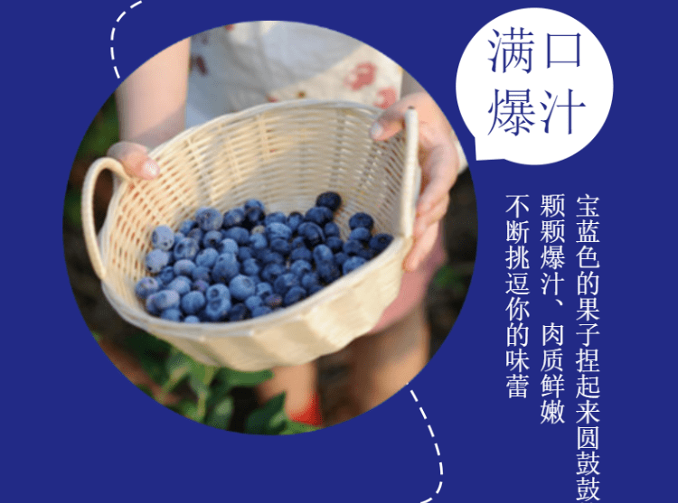 b89bf1e80cf94a538c967a0015cd4474.png