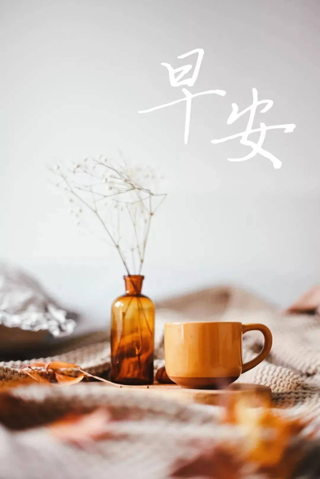 早安朋友圈正能量励志语录图片晚安经典语录