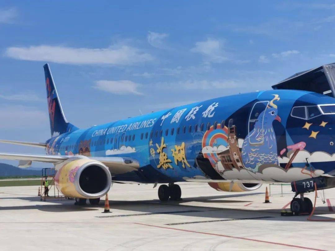 "欢乐芜湖号"彩绘机今日首飞!_飞机