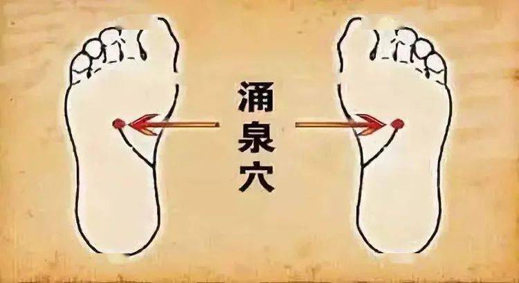 快速睡眠的穴 8d45404334594c32b87f9303c726b923.jpeg