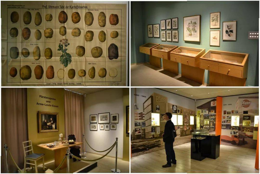 德国那么多博物馆想看点不一样的这10个满足你