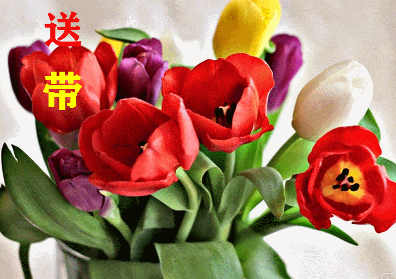 6月24日最漂亮早上好动态表情图片大全早上好动图美图大全