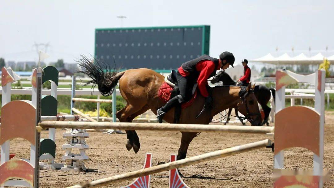 奧威馬文化運動小鎮推廣馬文化建設馬產業品牌