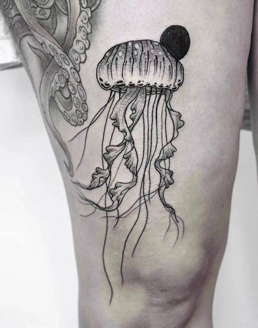 大洋里的水母纹身