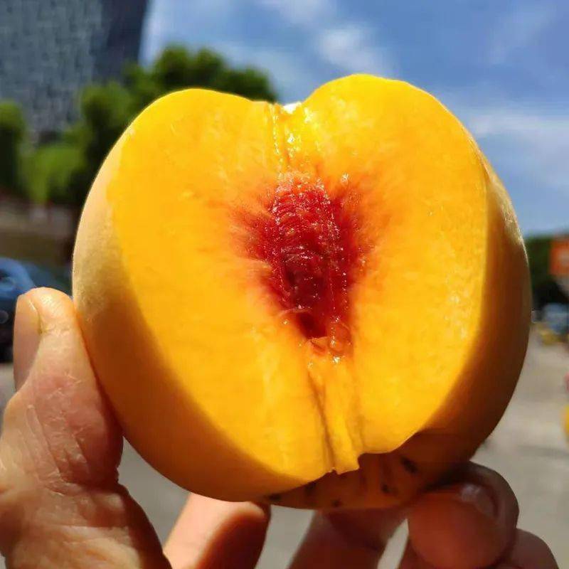 价格不到十分之一好吃到同事发出尖叫的贵族水果今天自由