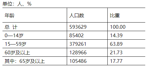 2024年桐城人口_常住人口593629人!桐城市第七次全国人口普查公报出炉