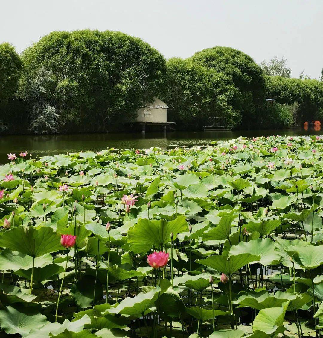墨玉县庆祝建党100周年美丽和田我的家摄影作品展