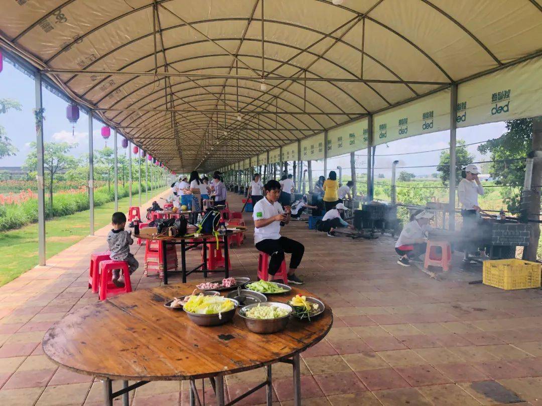 【全域旅游】摘水果,拍"大片",农家乐…这才是盛夏该去的地方!_果园