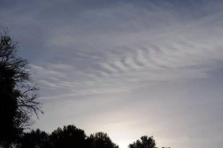 气象科普:观天识云_积云