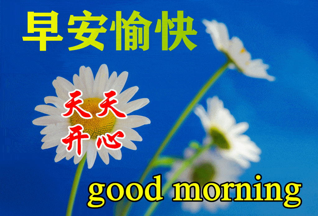 8张早上好动态图片表情带字和鲜花好看的夏日早安问候语配动态鲜花