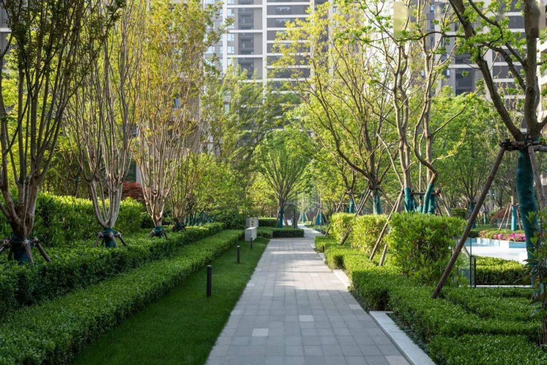 解密营造住宅大区景观空间的植物体系