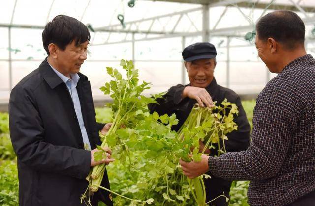 闕莊泥黏回的好書記記經濟區雙楊街道前闕莊村黨支部書記於英智