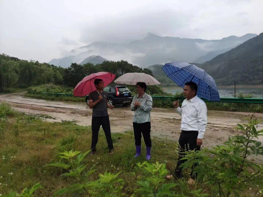 蕲春各地正在抓紧干这件事》今天,县"四大家"领导及各乡镇办和部门