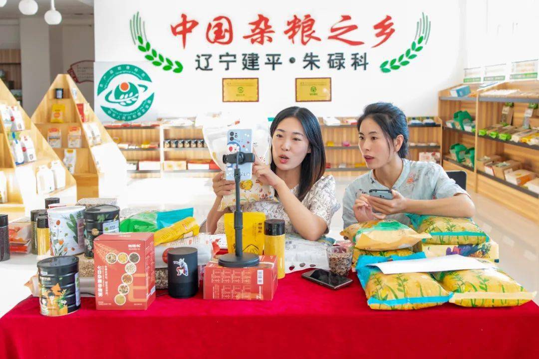 建平县电子商务协会:打通农产品上行的数字桥梁,激活县域电商新动能