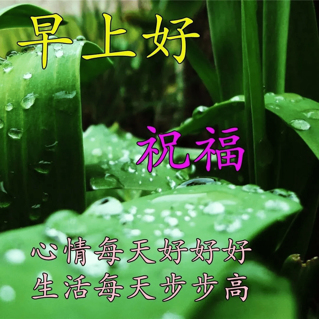 早上好親愛的朋友們新的一天祝福我的朋友工作順利