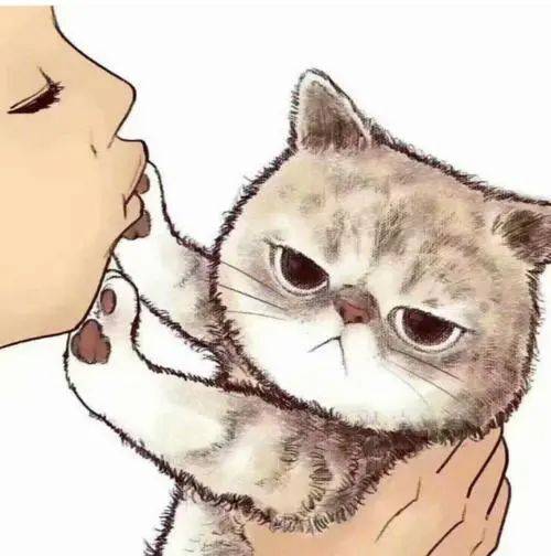 后颈|铲屎官养猫的坏习惯 ｜ 没错，说的就是你～