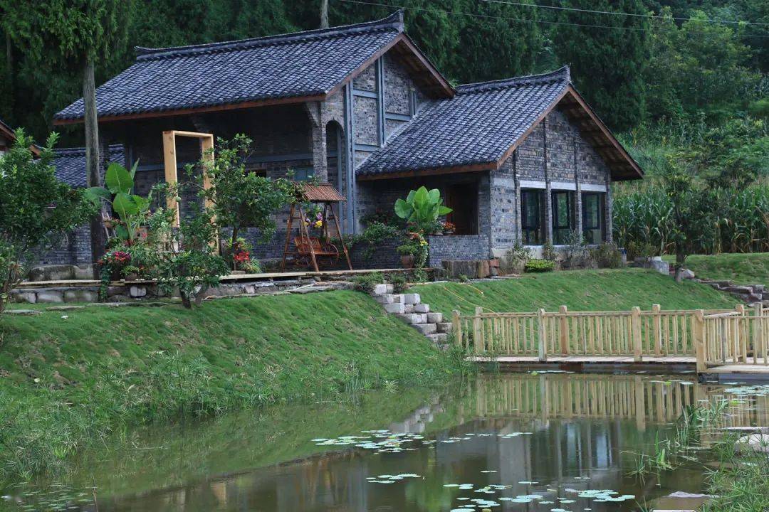 在乡下改造一个小院种菜养花天天都是乡村田园梦生活如此惬意