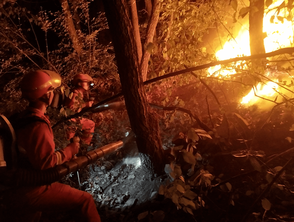 火线救援5小时济源林业局森林专业消防队越界灭火纪实